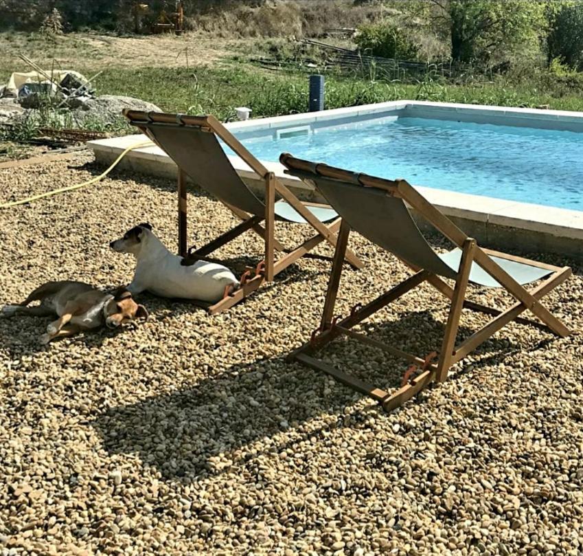 Bastide Bellugue Maison D'Hotes Reseau Bienvenue A La Ferme A 3 Minutes De Lourmarin Cadenet Εξωτερικό φωτογραφία