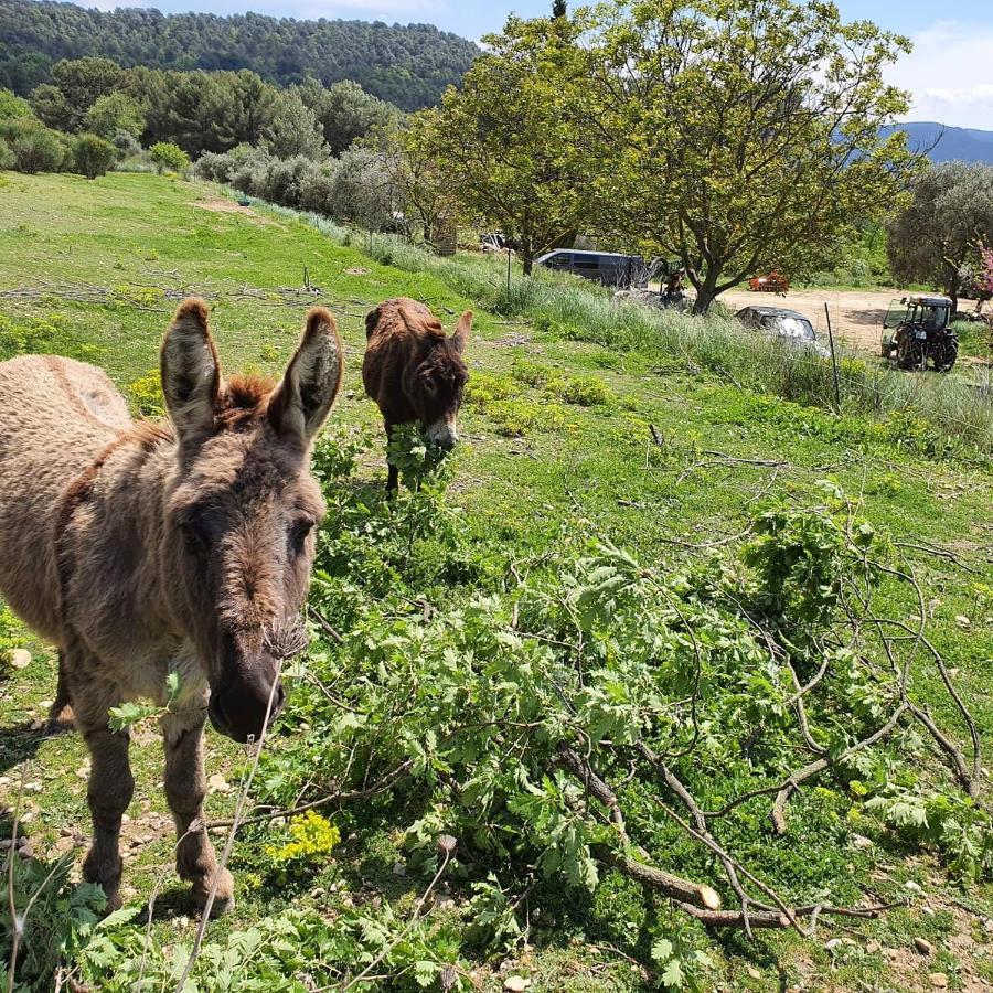 Bastide Bellugue Maison D'Hotes Reseau Bienvenue A La Ferme A 3 Minutes De Lourmarin Cadenet Εξωτερικό φωτογραφία