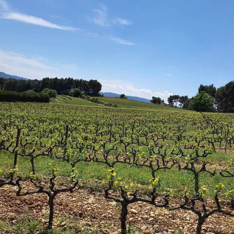 Bastide Bellugue Maison D'Hotes Reseau Bienvenue A La Ferme A 3 Minutes De Lourmarin Cadenet Εξωτερικό φωτογραφία