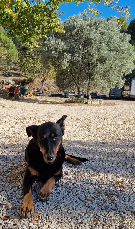 Bastide Bellugue Maison D'Hotes Reseau Bienvenue A La Ferme A 3 Minutes De Lourmarin Bed and Breakfast Cadenet Εξωτερικό φωτογραφία