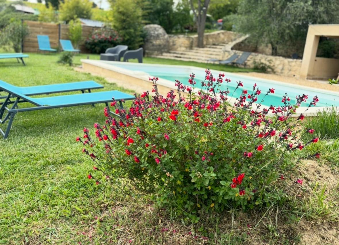 Bastide Bellugue Maison D'Hotes Reseau Bienvenue A La Ferme A 3 Minutes De Lourmarin Cadenet Εξωτερικό φωτογραφία