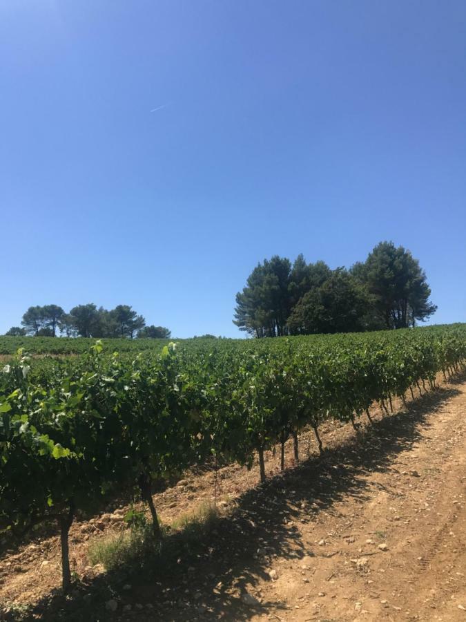 Bastide Bellugue Maison D'Hotes Reseau Bienvenue A La Ferme A 3 Minutes De Lourmarin Cadenet Εξωτερικό φωτογραφία