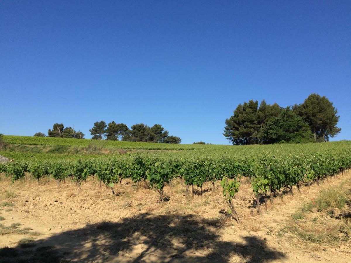 Bastide Bellugue Maison D'Hotes Reseau Bienvenue A La Ferme A 3 Minutes De Lourmarin Cadenet Εξωτερικό φωτογραφία