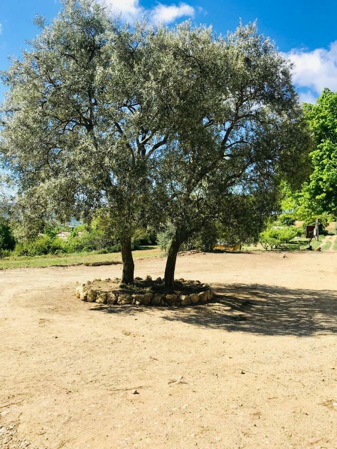 Bastide Bellugue Maison D'Hotes Reseau Bienvenue A La Ferme A 3 Minutes De Lourmarin Cadenet Εξωτερικό φωτογραφία